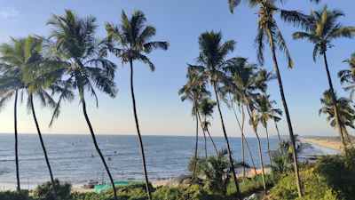 Goa