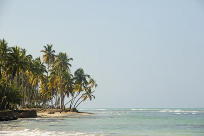 Las Terrenas