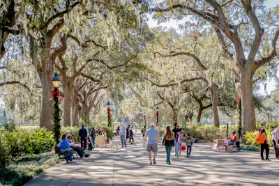 Savannah