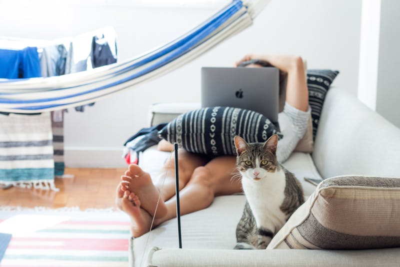 What I Learned Talking to Hundreds of Remote Job Seekers